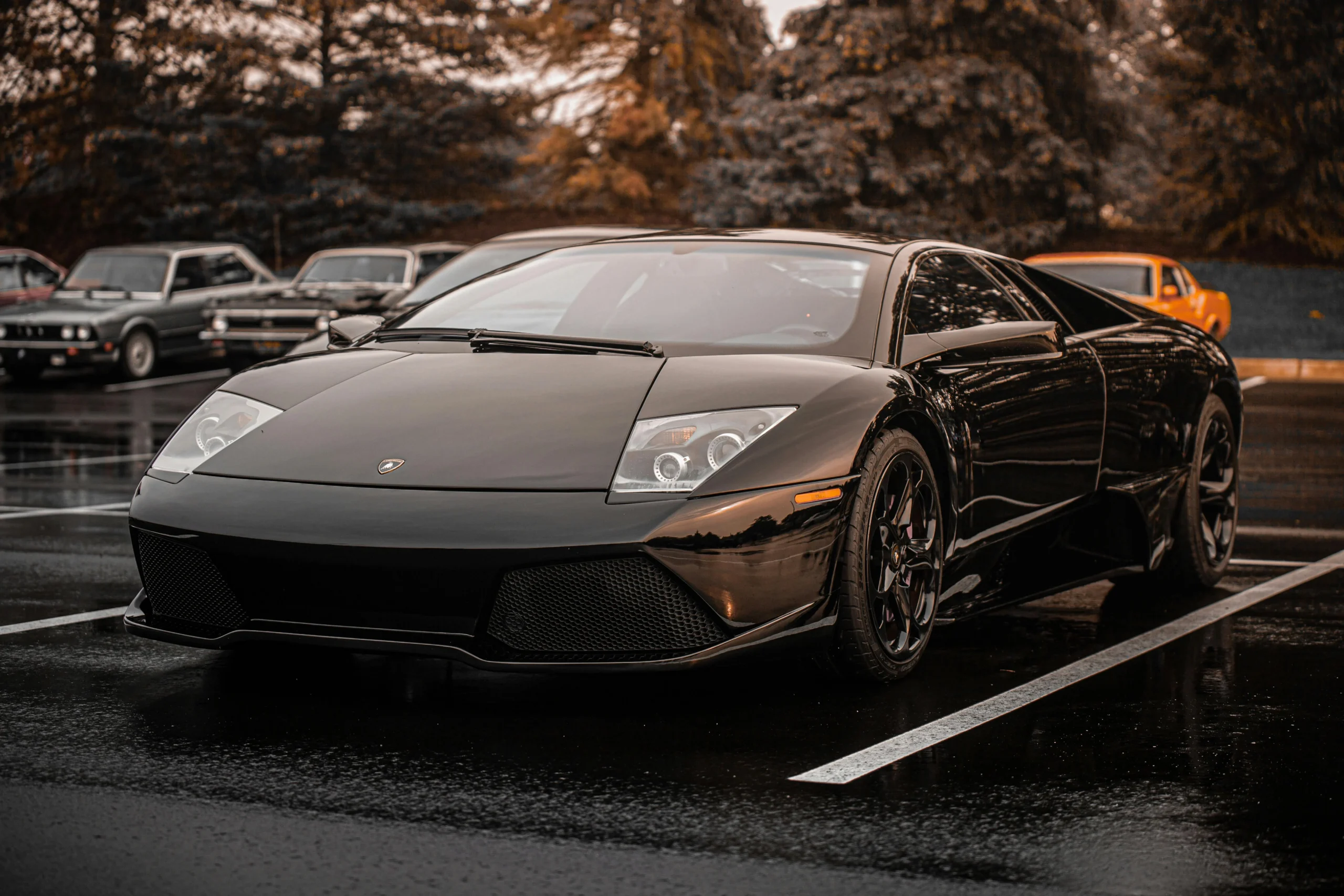 pexels-srkportraits-8911015